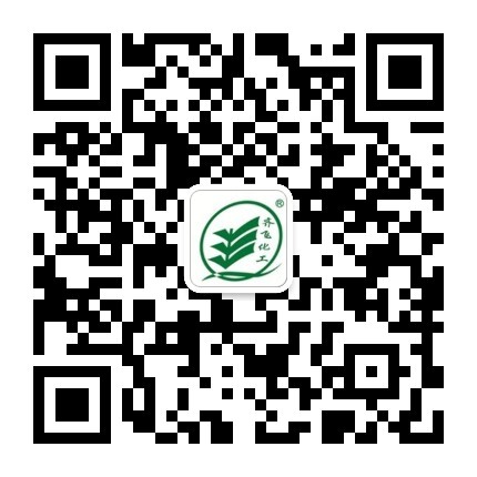 好色先生在线下载公众号